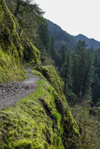 Punchbowl Falls Hike