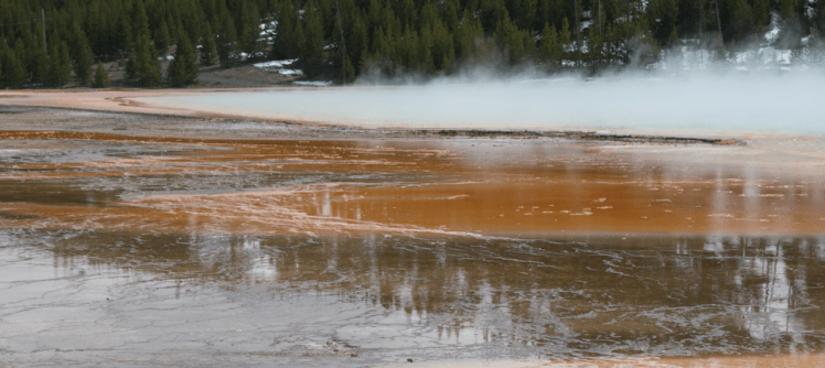 Screen Shot 2016-04-27 at 9.30.00 PM