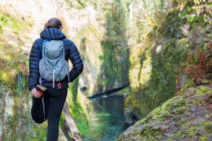 Punch Bowl Falls Overlook
