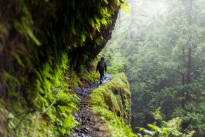 Eagle Creek Trail Hike To Tunnel Falls