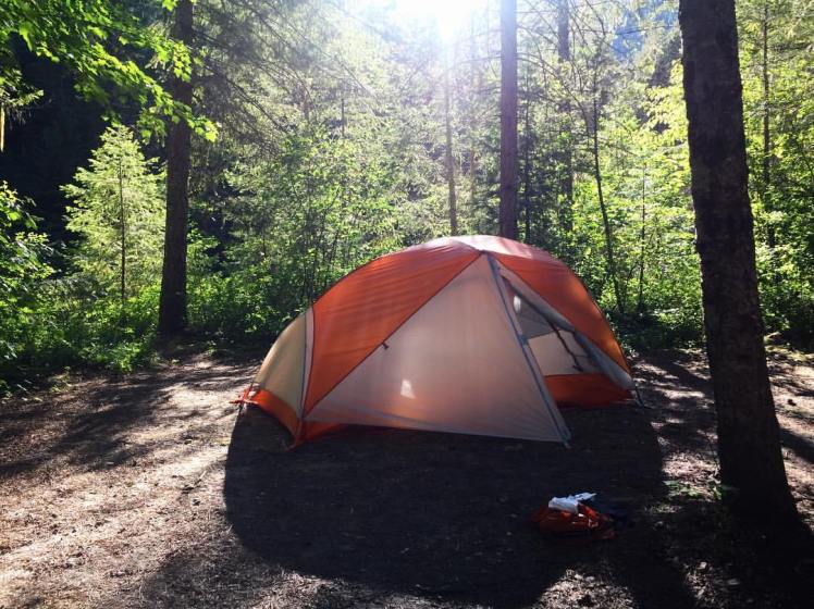 Big Agnus Copper Spur UL2